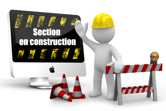section en-construction